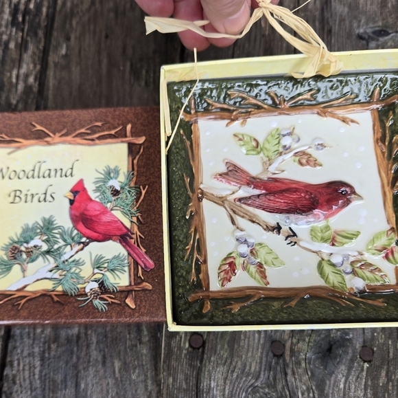 4 Woodland Birds Porcelain Miniplates Set In Box Raffia Hangers Decor - Picture 6 of 8